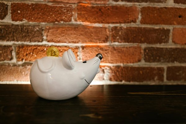 L'assurance habitation : essentielle lors de vos rénovations